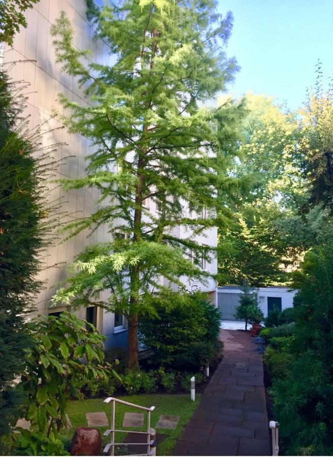Apartment Centrum Im Gruenen Nuremberg Ngoại thất bức ảnh